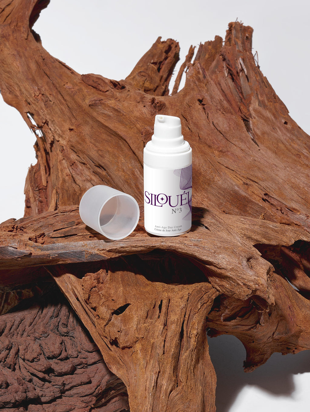 Anti-Age Day Cream: Intense Hydration & Smooth Skin