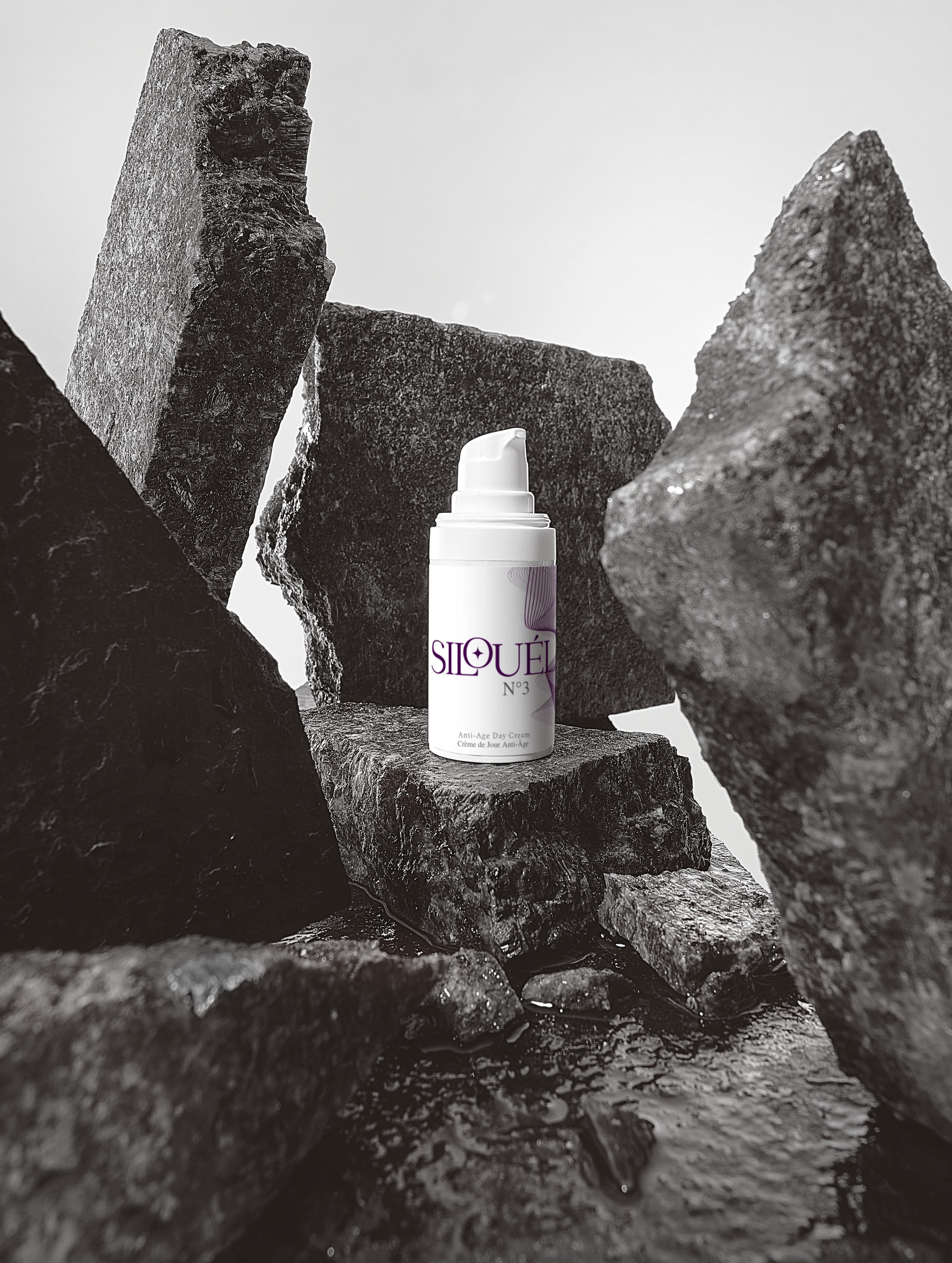 Anti-Age Day Cream: Intense Hydration & Smooth Skin