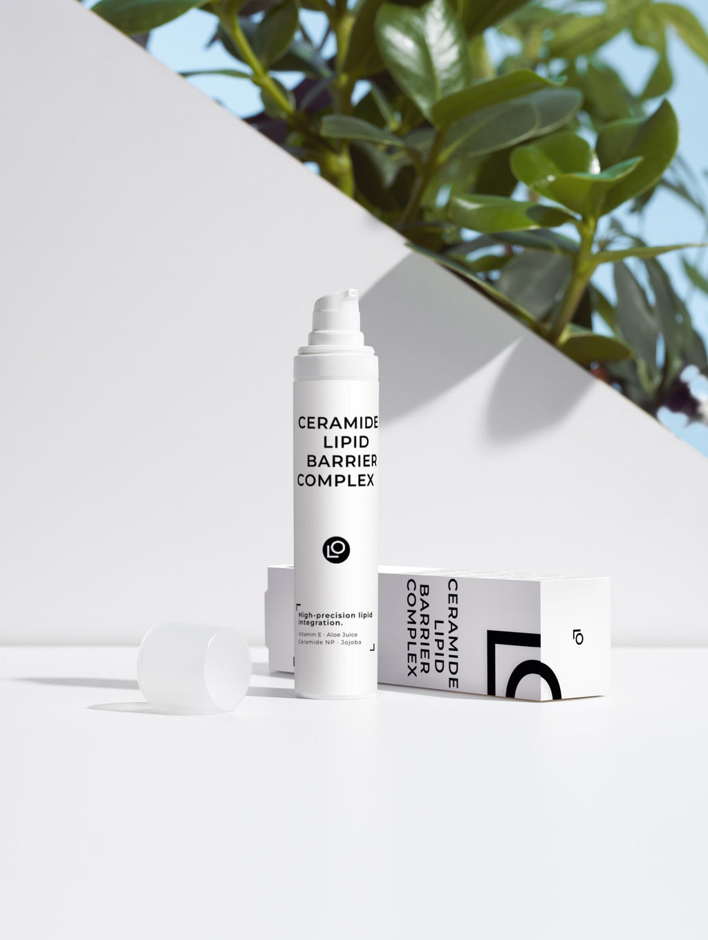 Ceramide Lipid Barrier Complex